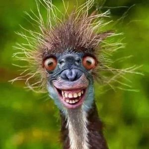 Meet your Posher, Melanie